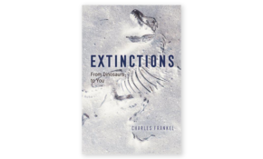 Extinctions from dinosaurs to you