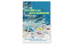 Field guide to the patchy anthropocene