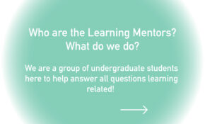 Who are the learning mentors 1