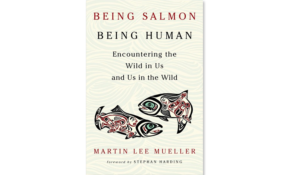 Being salmon being human