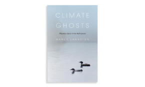 Climate ghosts