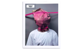 Book cover with a photograph of a person who has their head covered with pink cardboard packaging materials.