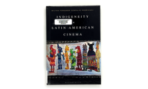 Indigeneity in latin american cinema