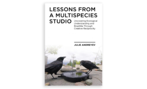 Lessons from a multiverse studio