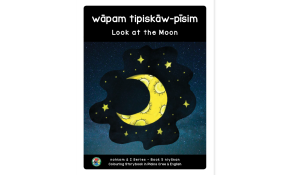 Look at the moon