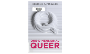 One dimensional queer book cover