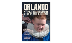 Orlando movie poster