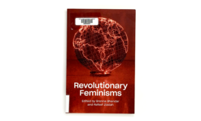 Revolutionary feminisms
