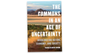 The commons in an age of uncertainty