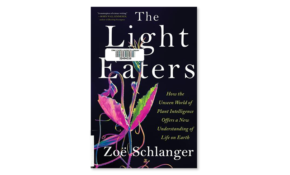 The light eaters