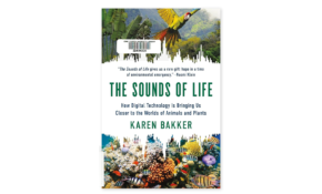 The sounds of life book cover