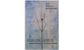 Visualizing genocide