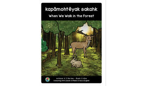 When we walk in the forest