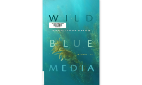 Wild blue media