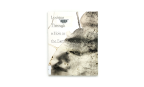 Book cover, with image created by flowing, wet ink