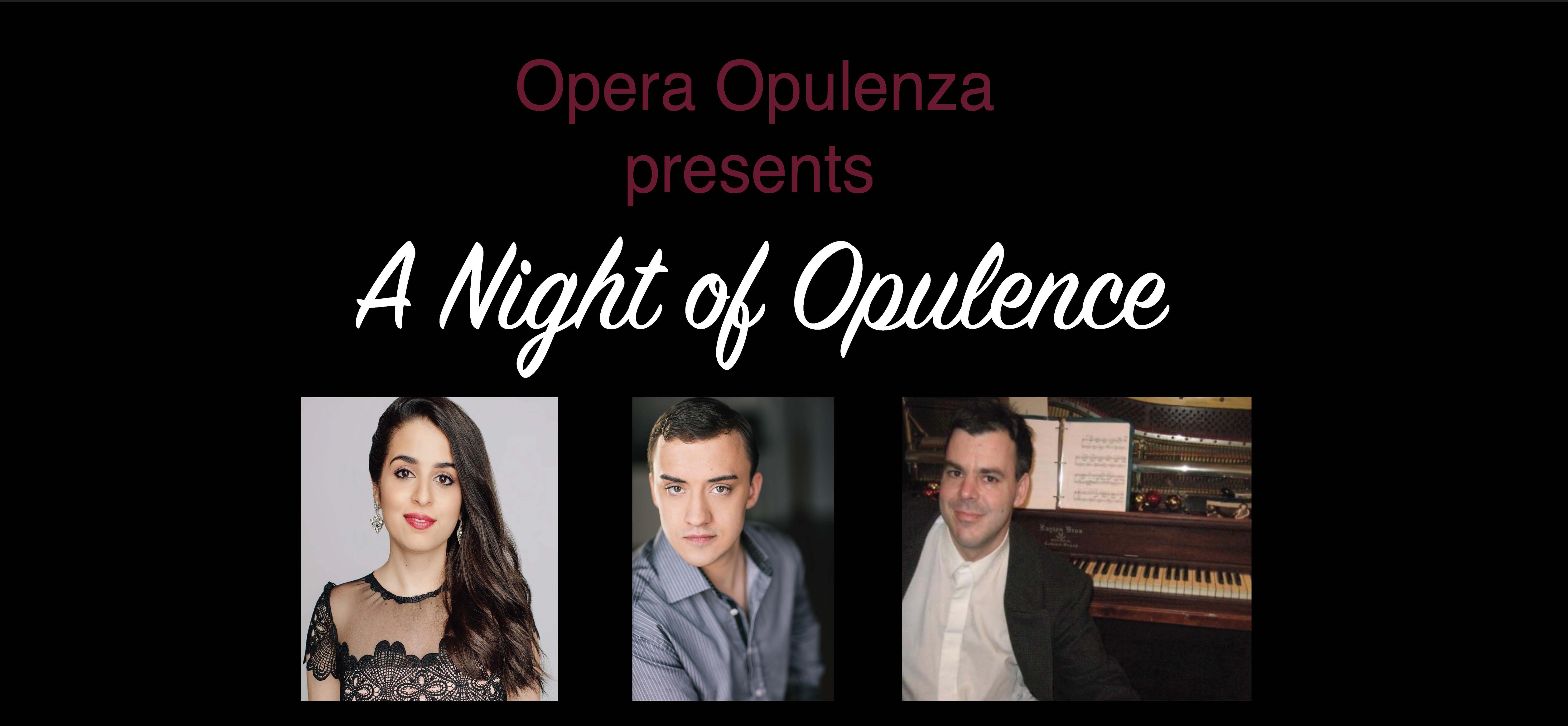 A Night of Opulence3a