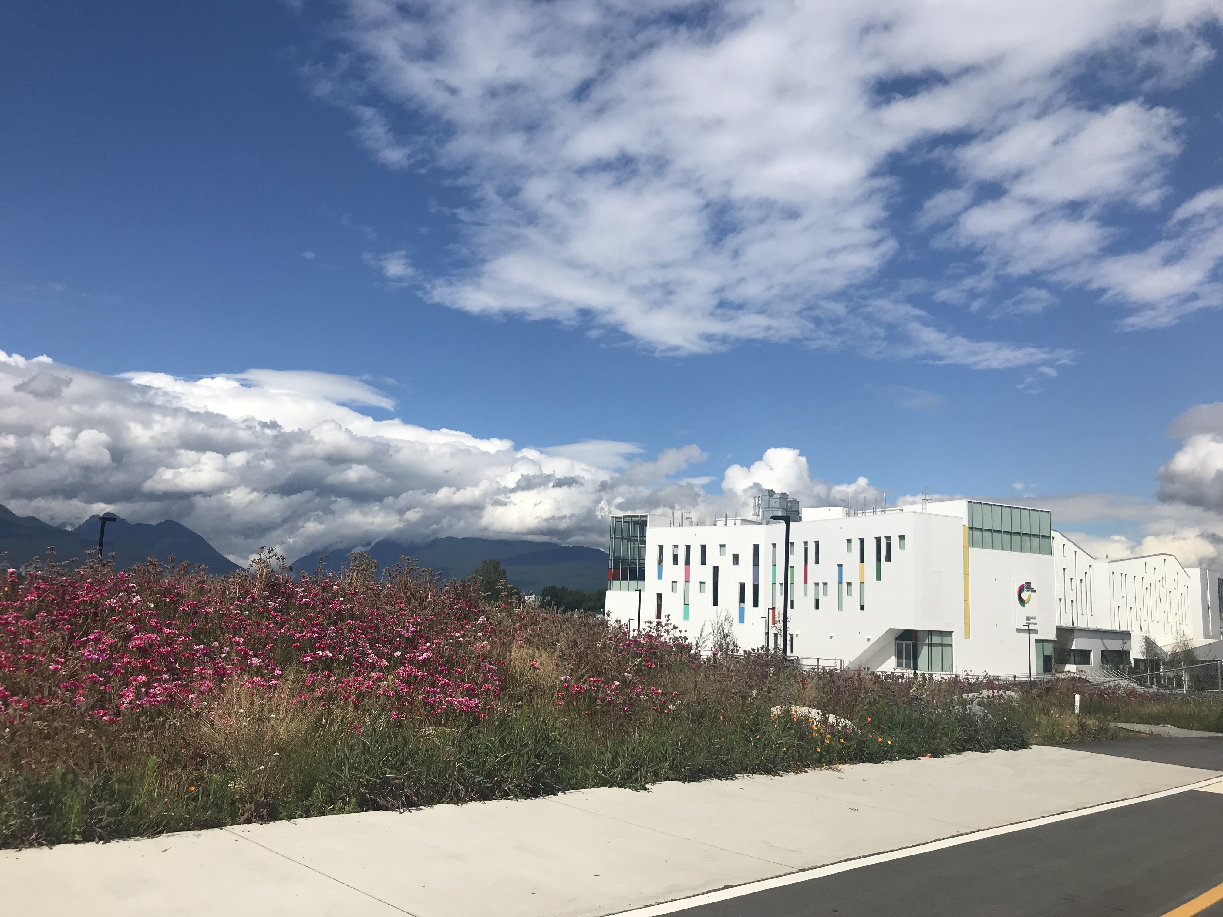 Ecuad Exterior Daytime Spring
