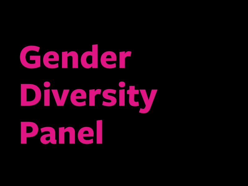 Gender Diversity Panel 2