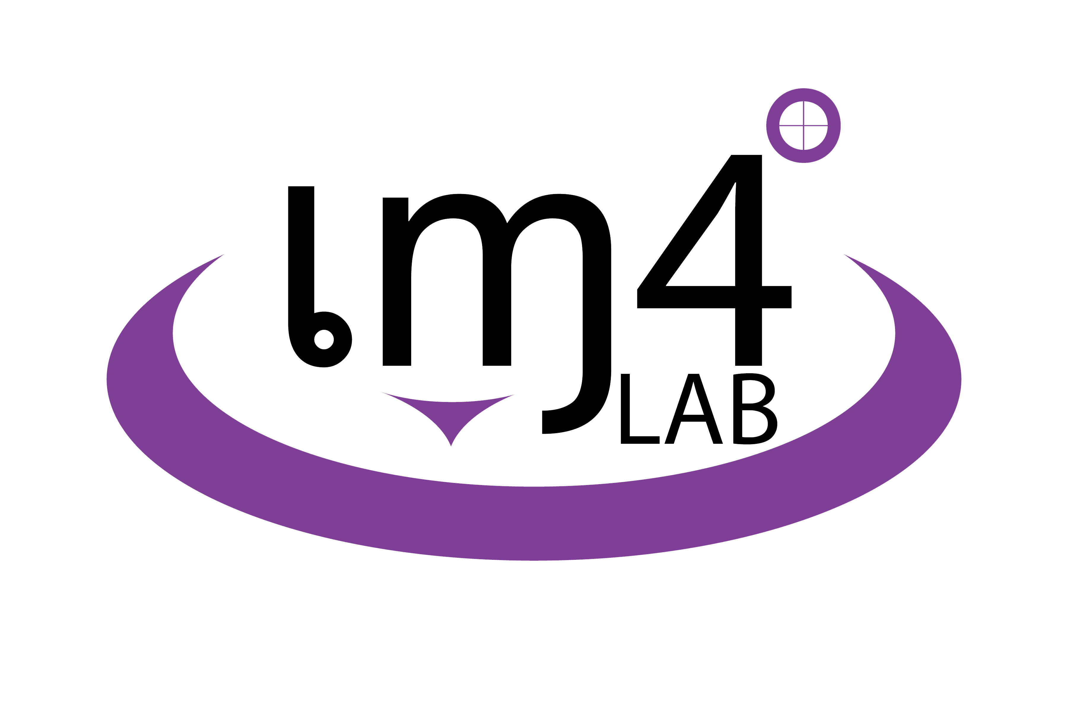 IM4 Logo