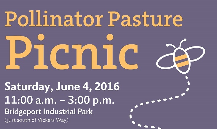 Pollinator Pasture Picnic Poster Web Crop