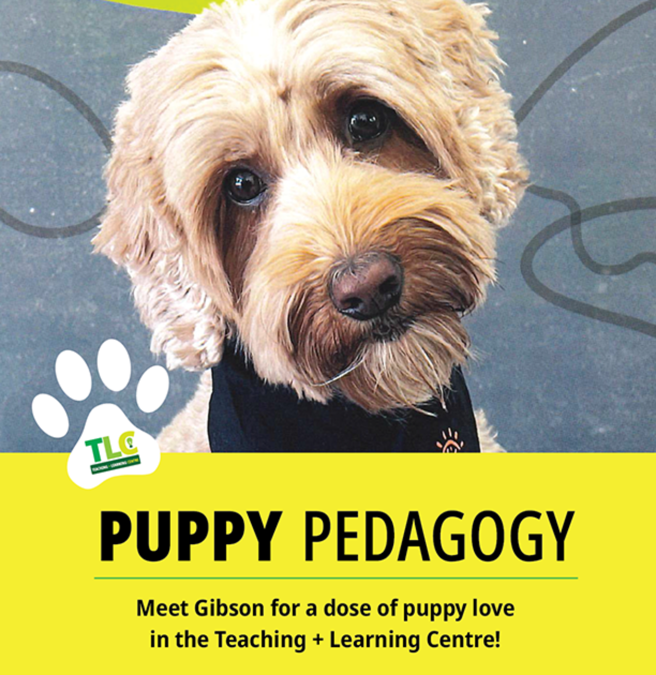 Puppysign general smaller 2025