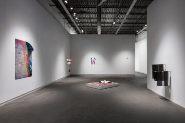 01 Installation view Steven Beckly at Daniel Faria Gallery 2020