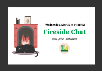 Events firesidechat mar30
