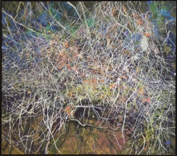 Gordon Smith The Byway Tange 2016
