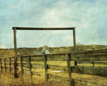 Phyllis Schwartz Working The Land