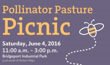Pollinator Pasture Picnic Poster Web Crop