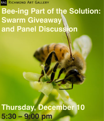 bee-ing-part-of-the-solution-crop-1