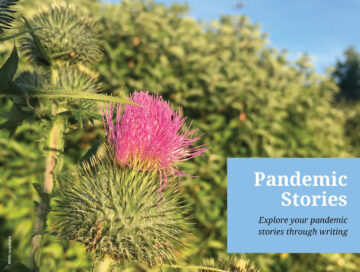 Ecuadevents Pandemic Stories 2022