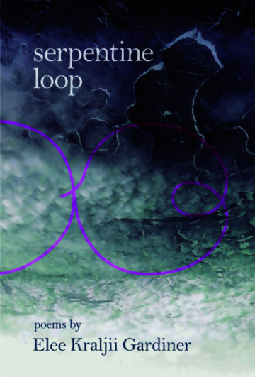 Serpentineloop