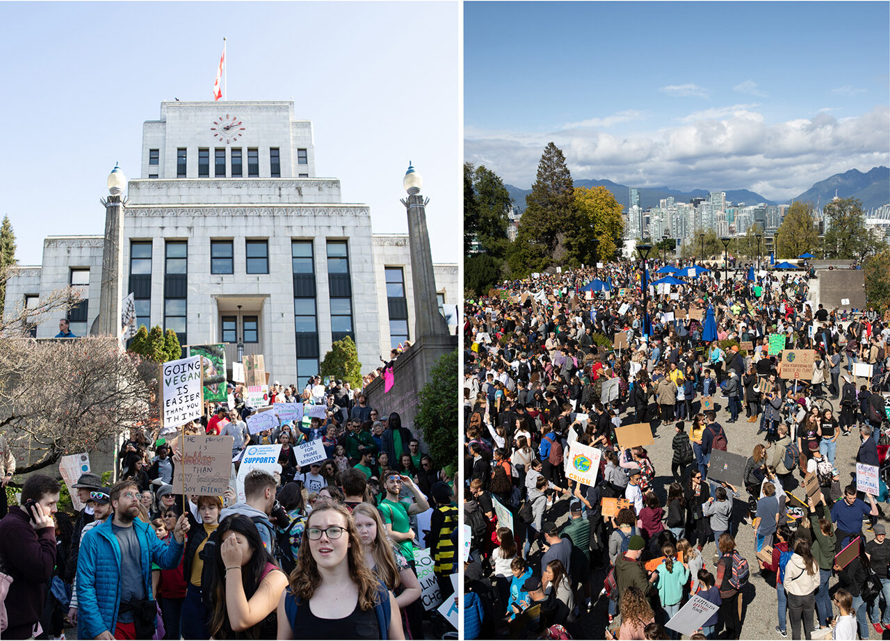 Climate Strike Verts