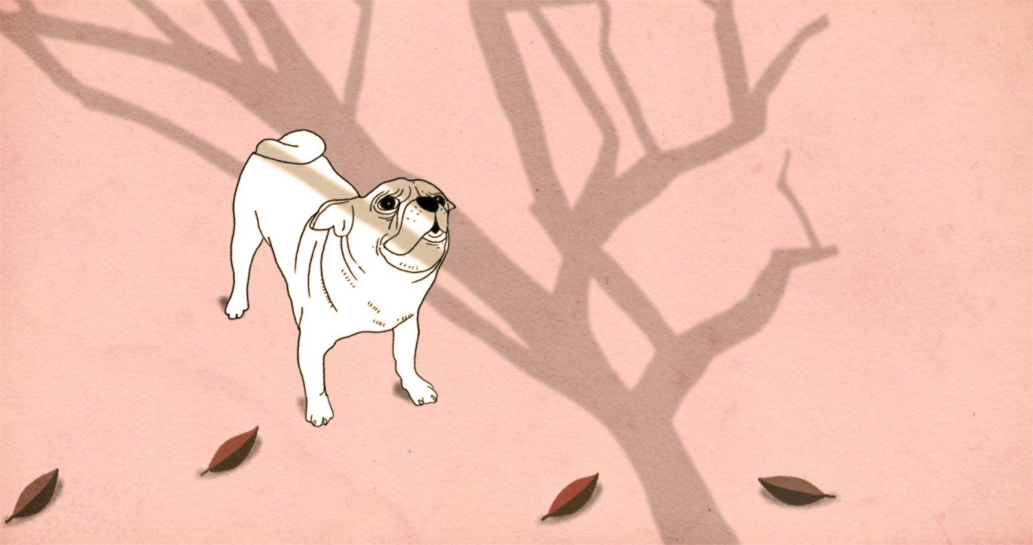 Ann Marie Fleming's 'Old Dog' to Screen at SPARK Animation Film Festival |  Emily Carr University of Art + Design