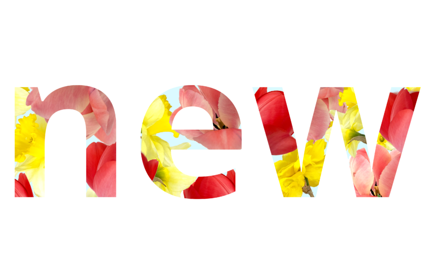 The word 'new' composed out of daffodils and tulips.