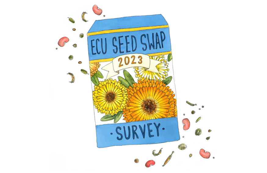 watercolour painting of a seed envelope reading, 'ECU seed swap survey, 2023'