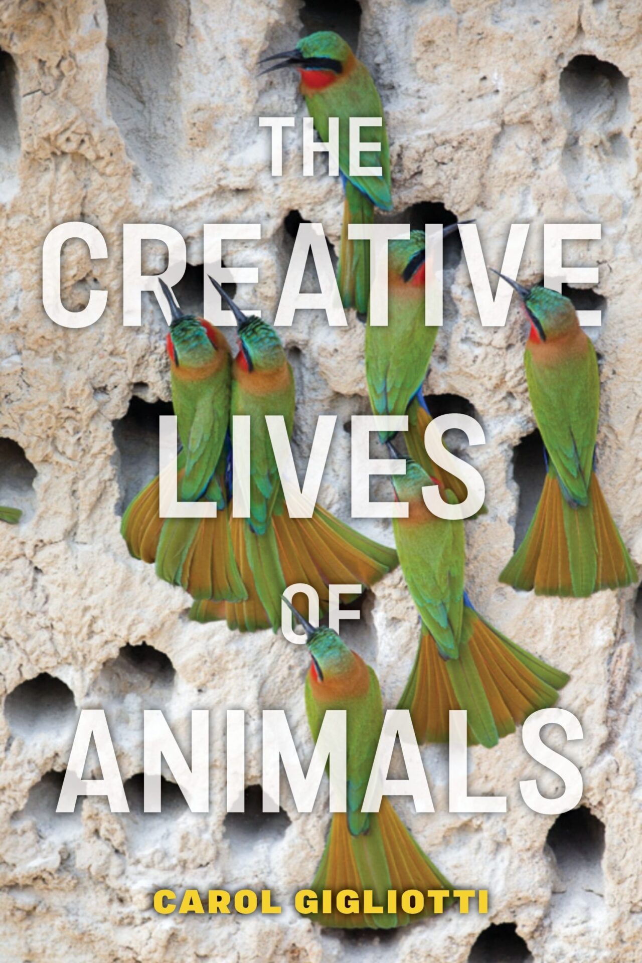 Creative Lives of Animals Cover scaled
