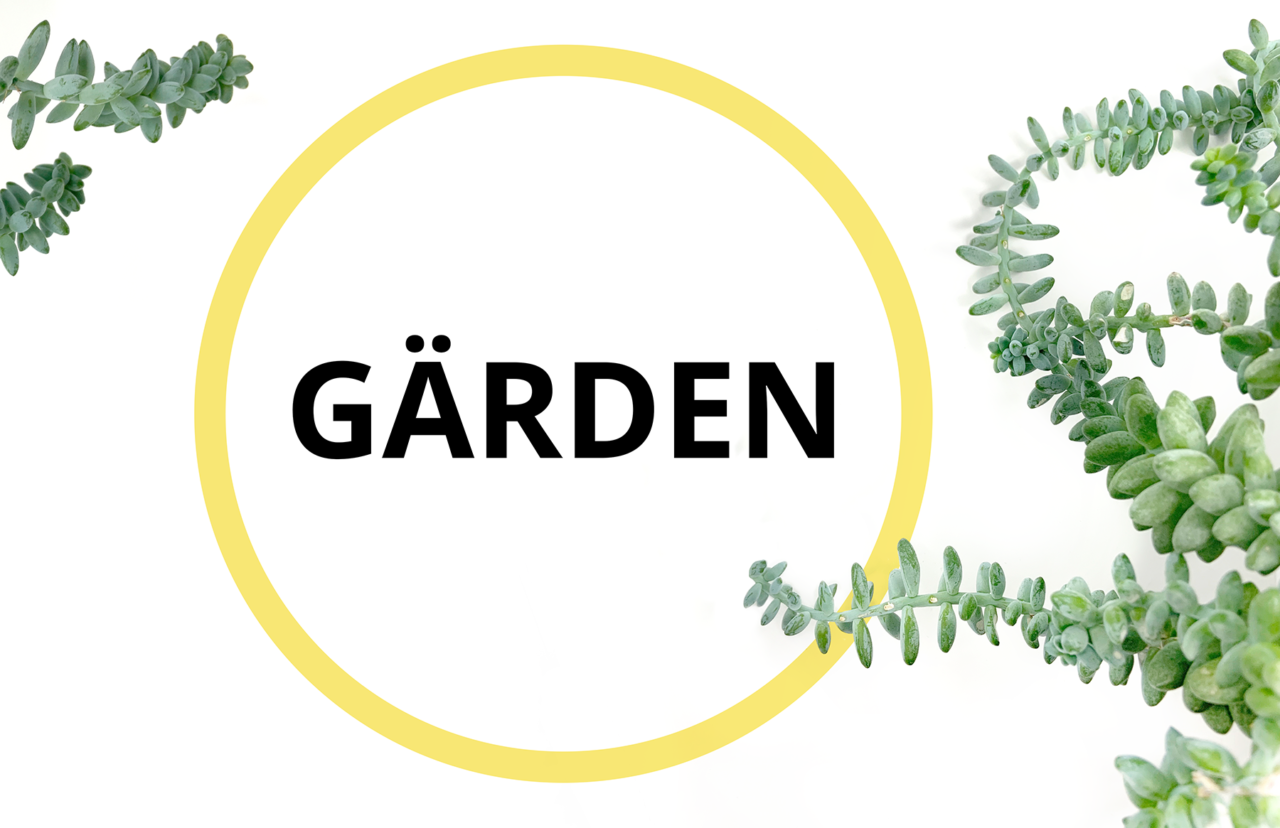 "Garden" inside a yellow circle, with plant tendrils around it.