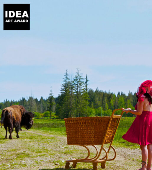 Idea Ecuad Main Website