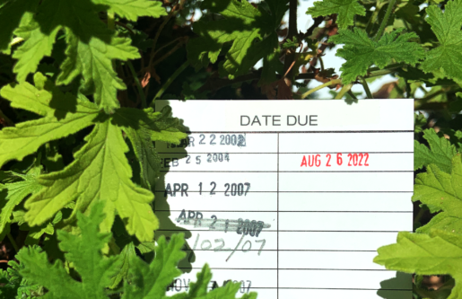 A due date slip reading 'Aug 26 2022' is nestled into a series of green leaves.