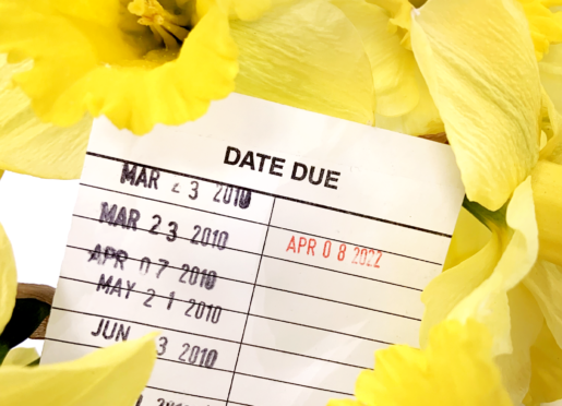 Daffodils surround a paper slip reading, "Date Due, Apr 08 2022"