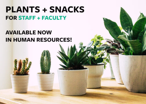 Plants snacks in HR copy