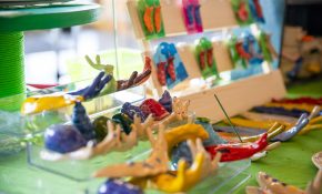 Indigenous Summer Market 2025