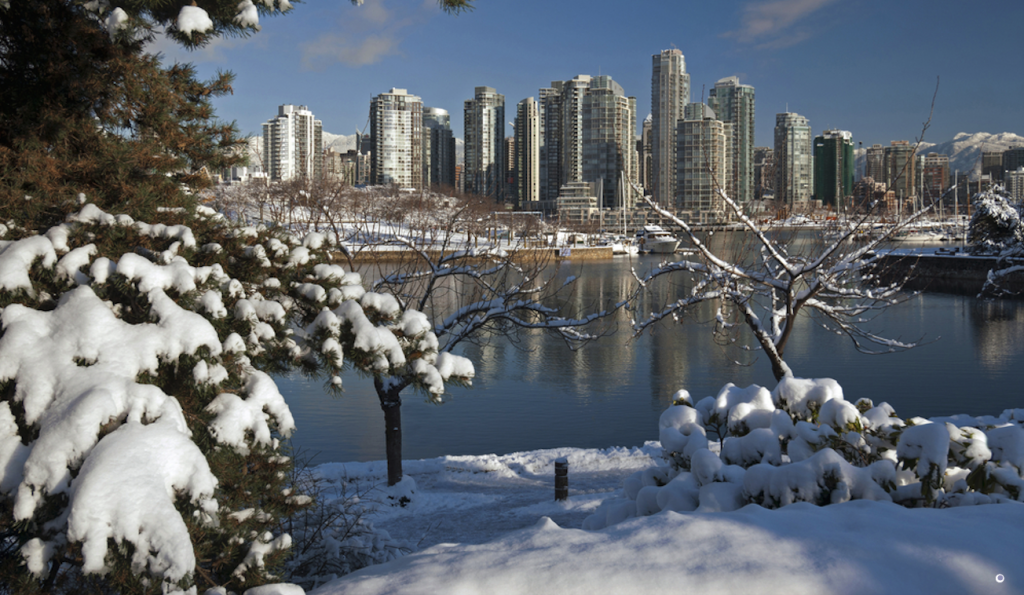 Vancouver Snow Snowfall Vancity Buzz